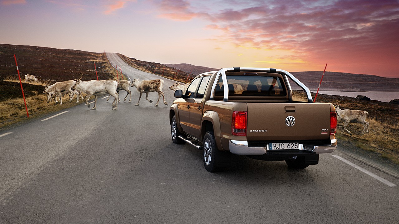 amarokreindeer