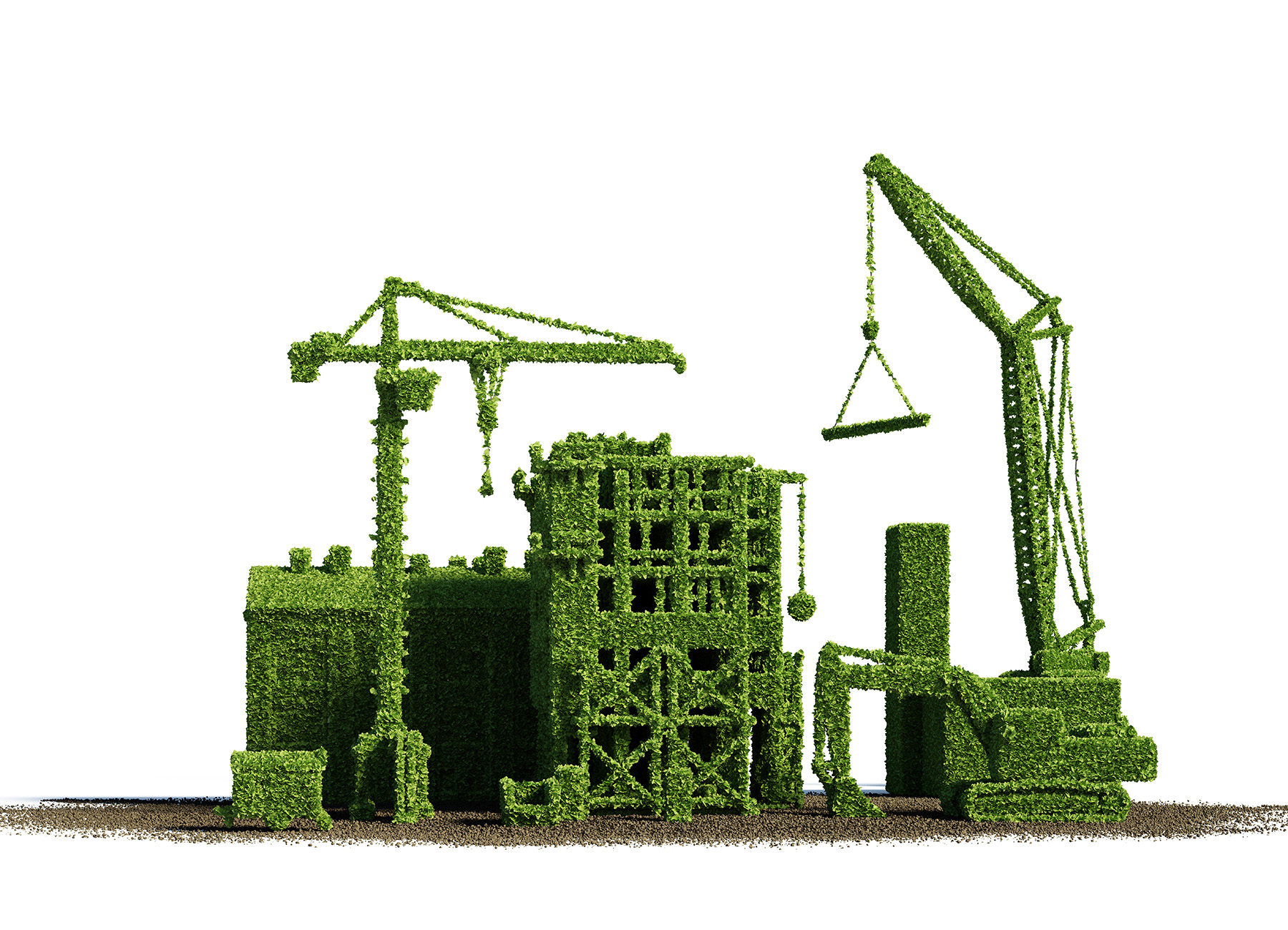 buildinghedge