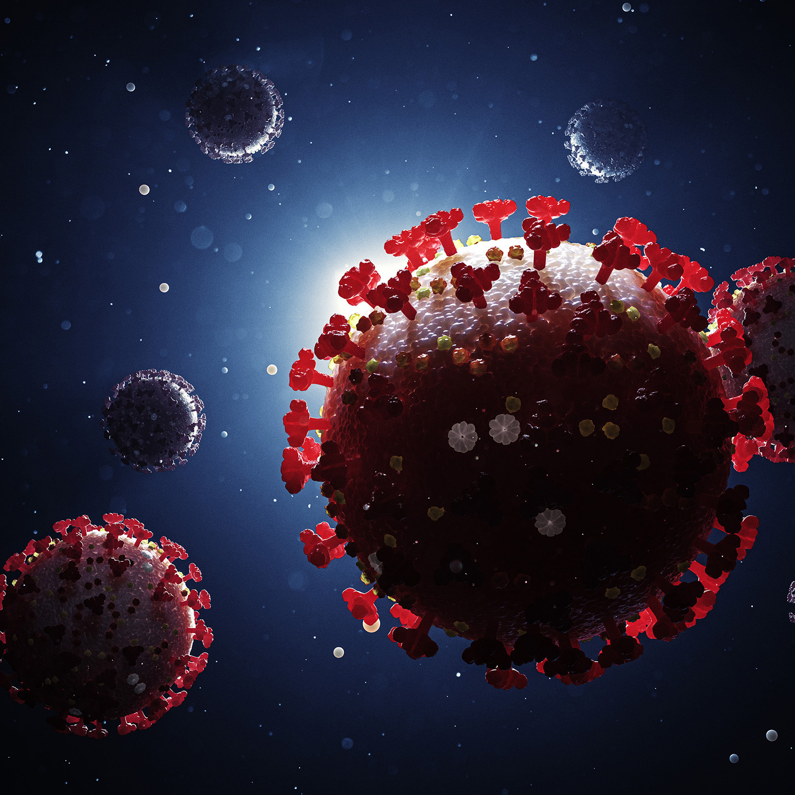 coronavirus