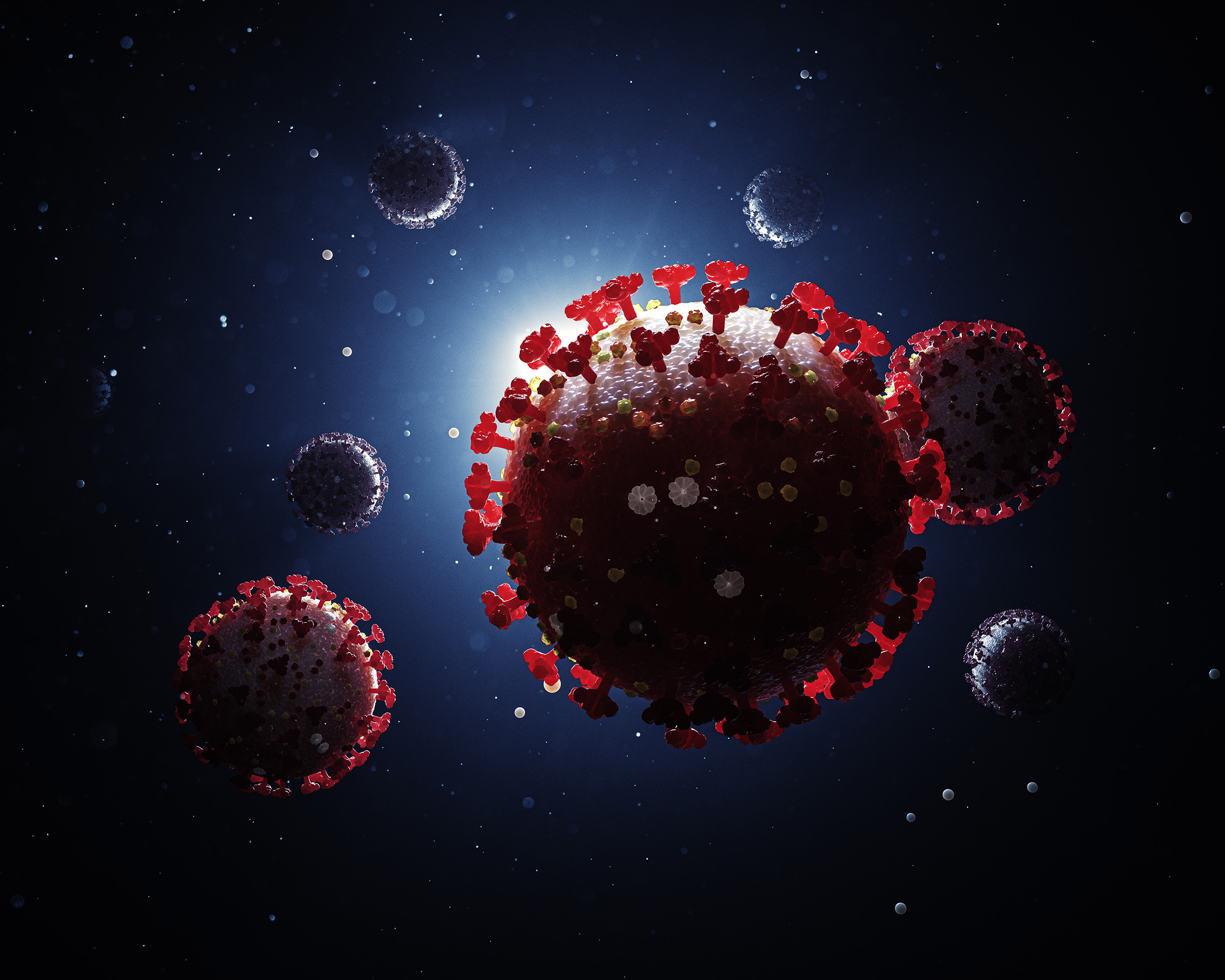 coronavirus