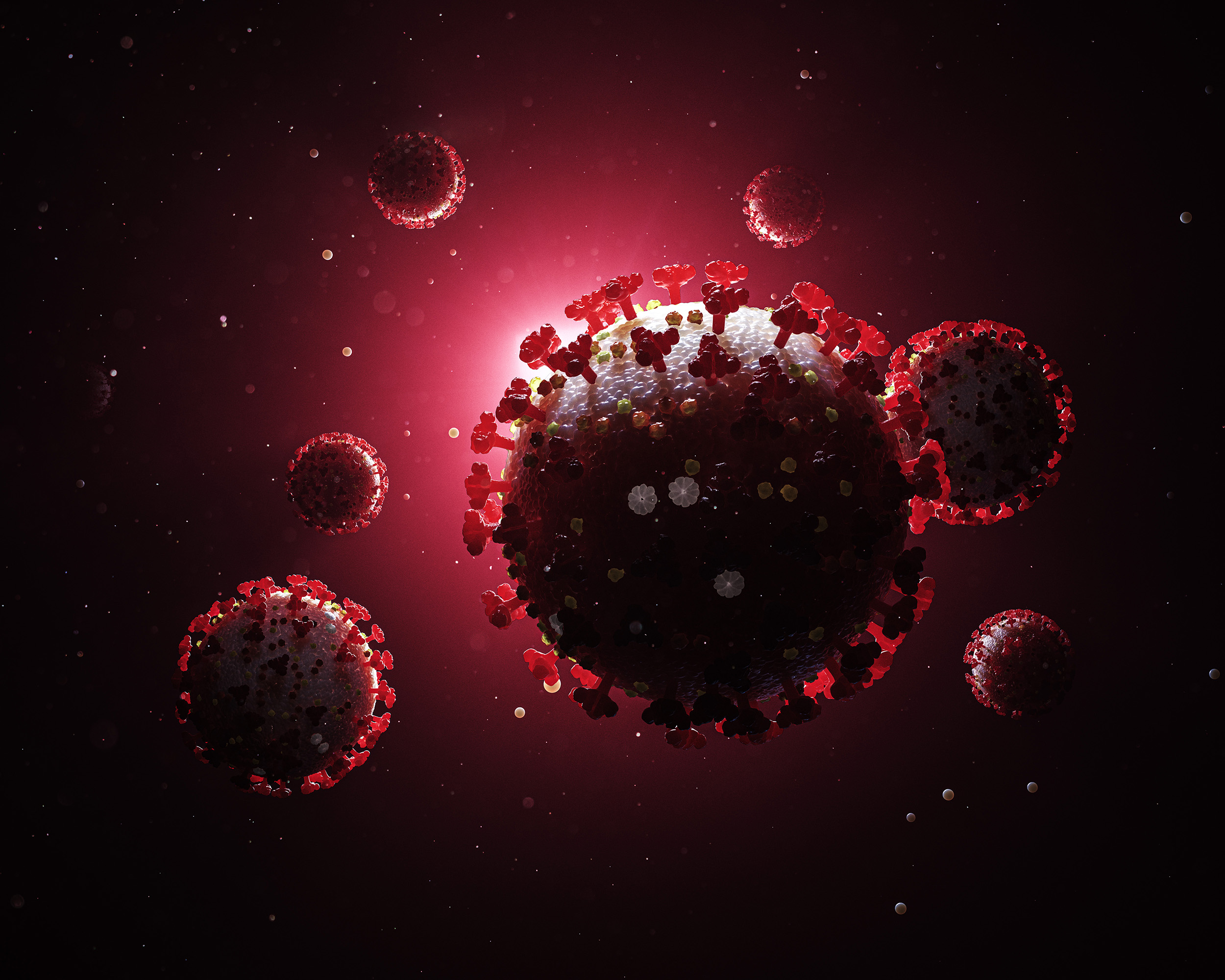 coronavirus