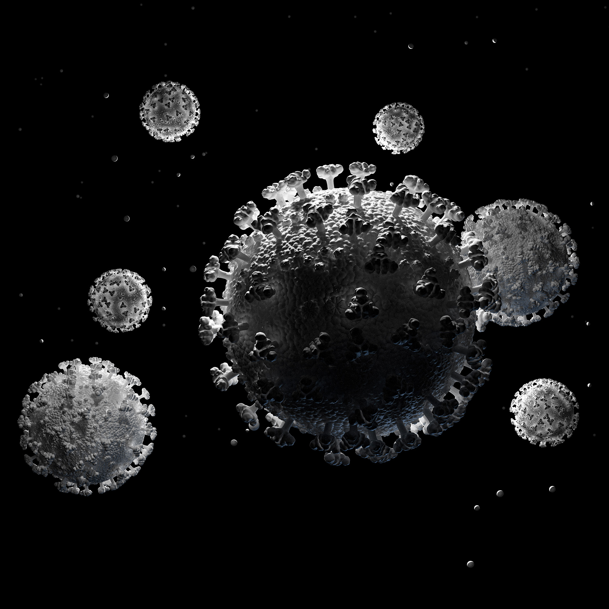 coronavirus