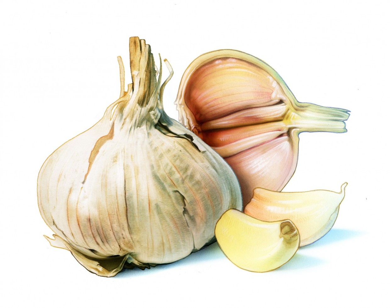 garlicpostenfrimarke
