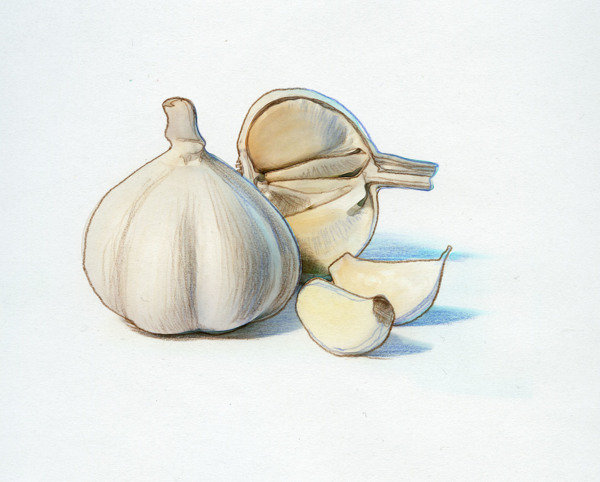 garlicpostenfrimarke