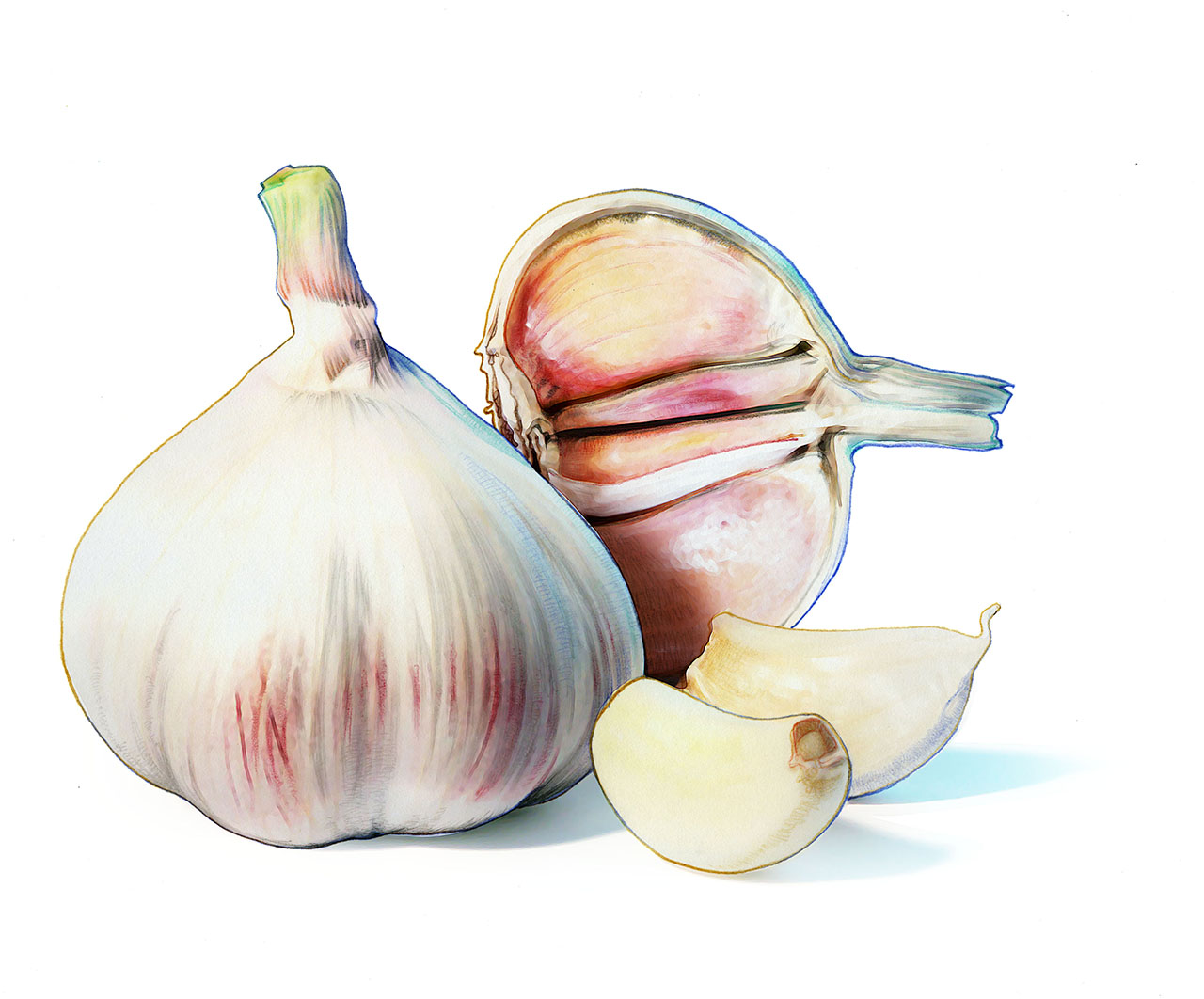 garlicpostenfrimarke