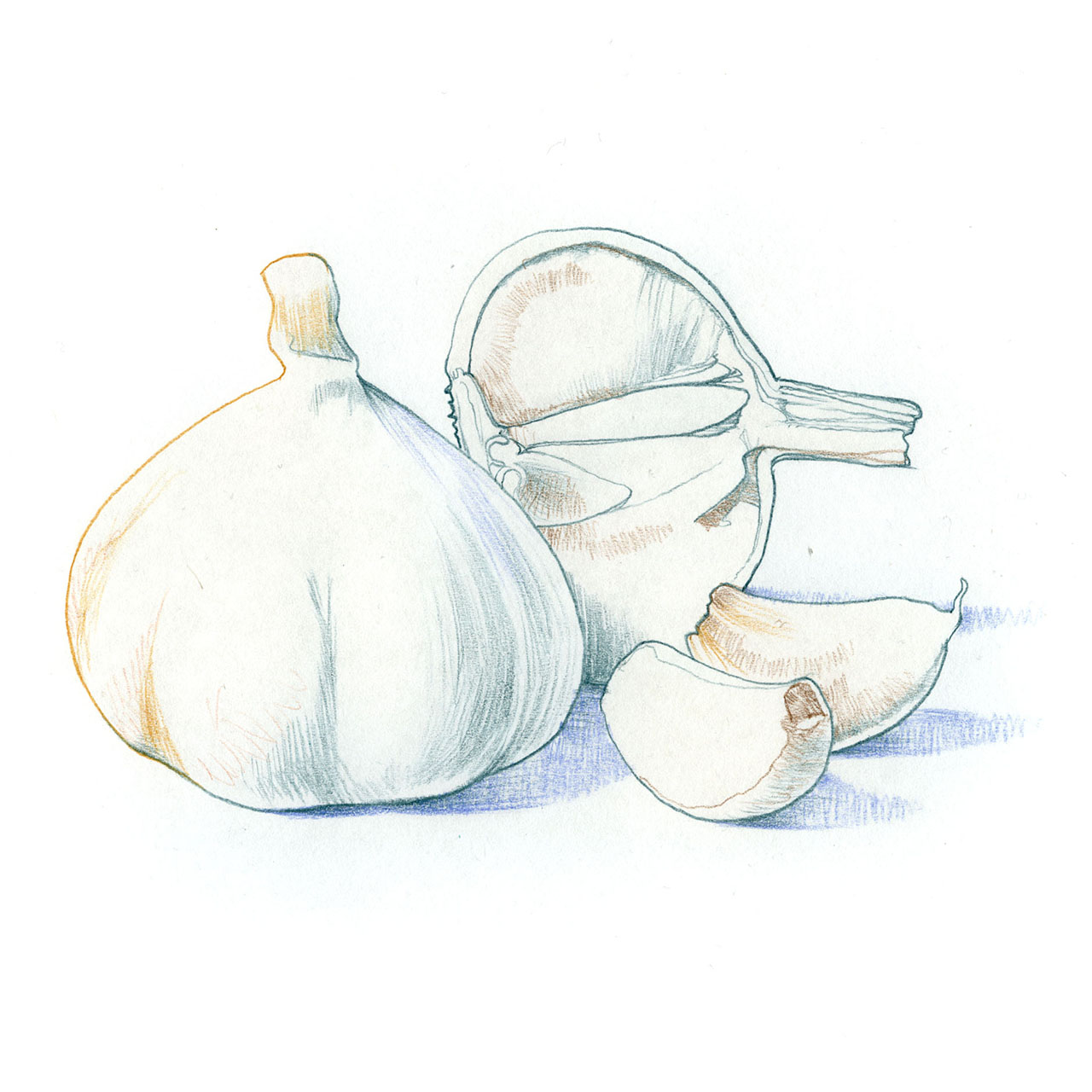 garlicpostenfrimarke