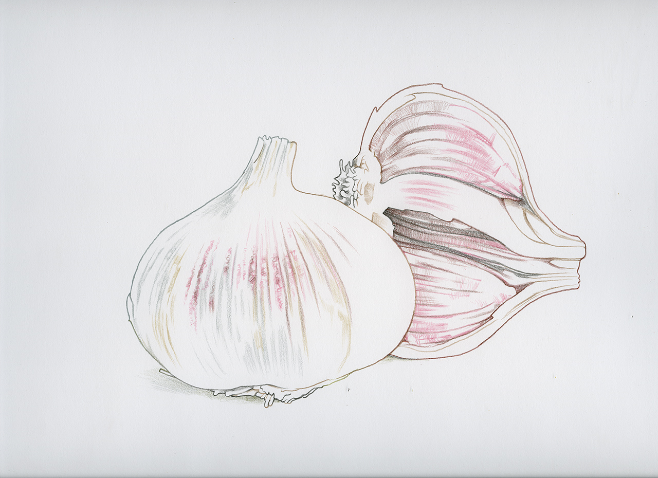 garlic