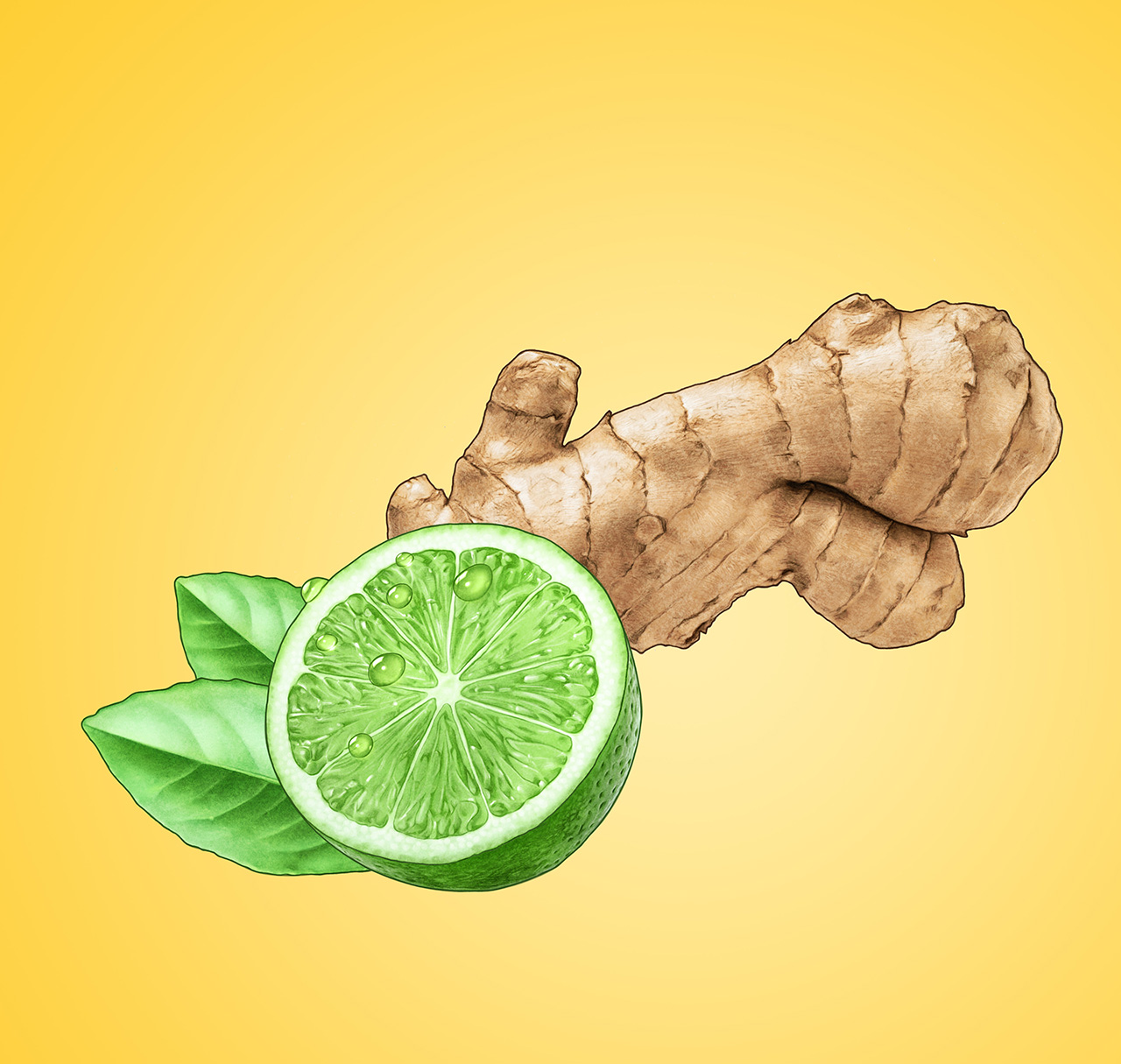 gingerlime