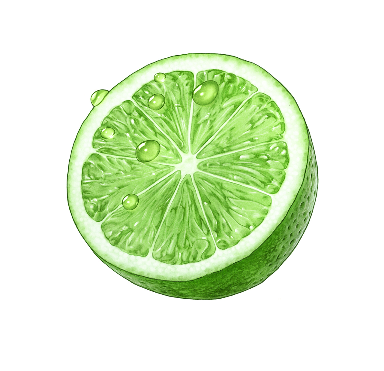 gingerlime