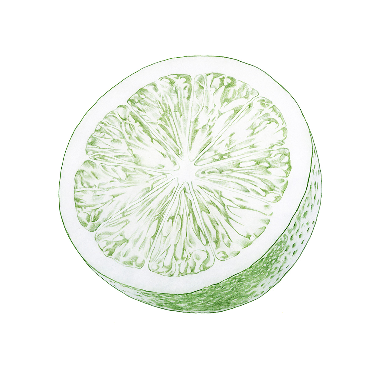 gingerlime