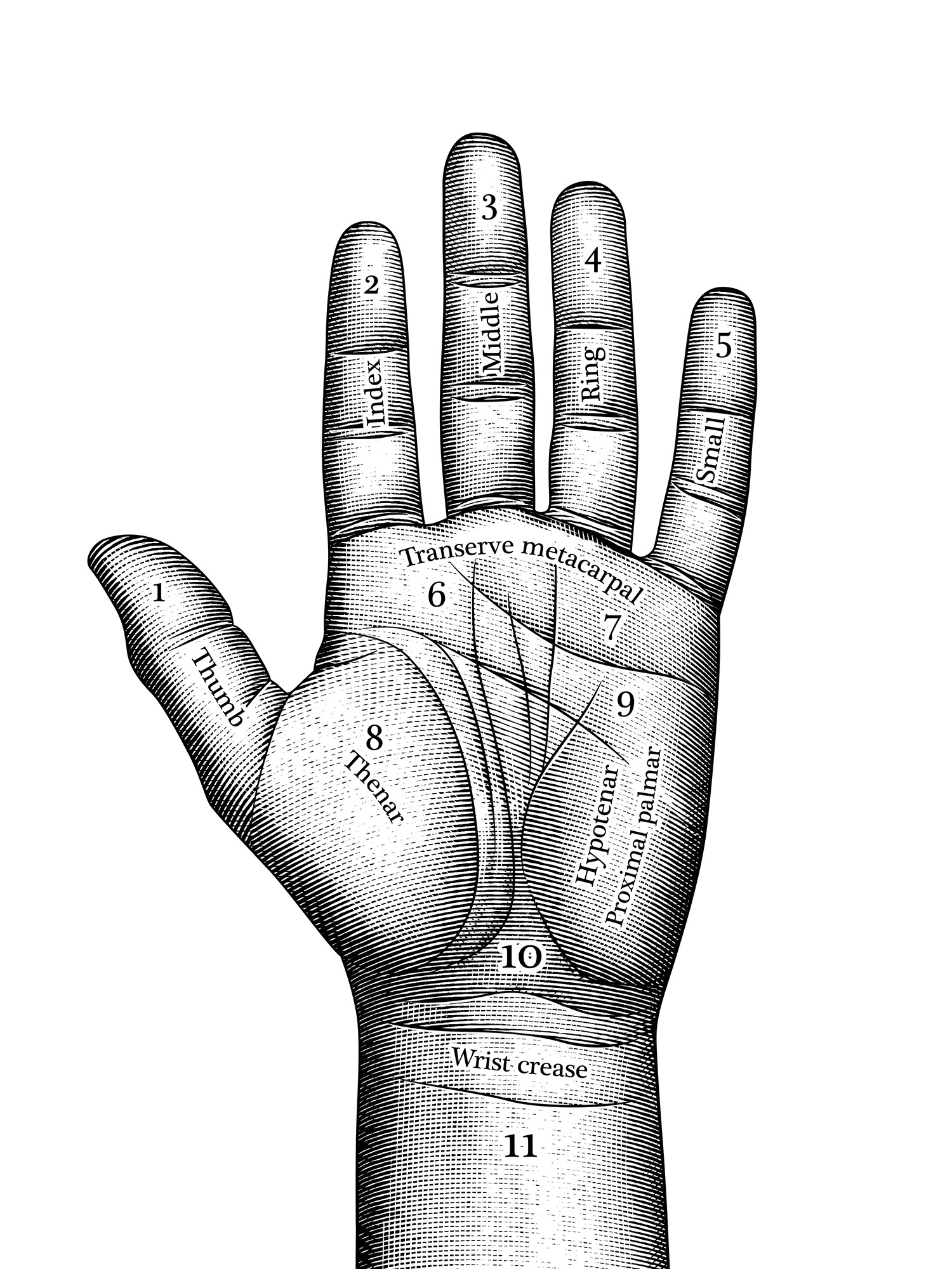 handoffortune