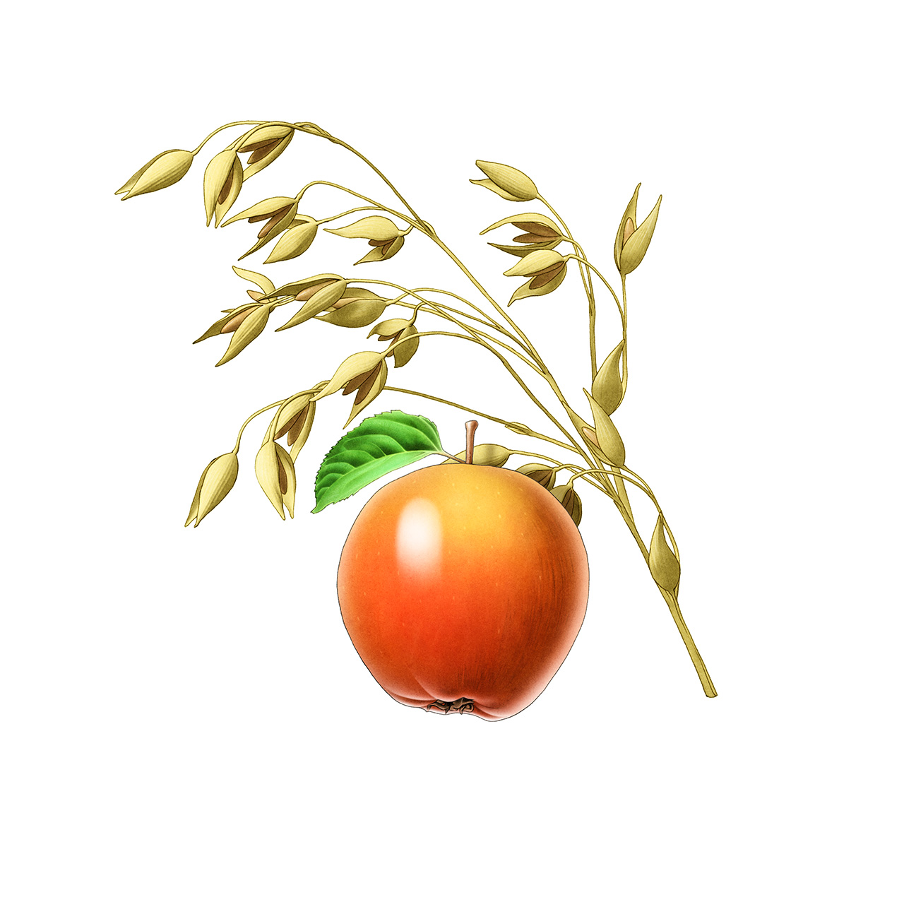 havrepple