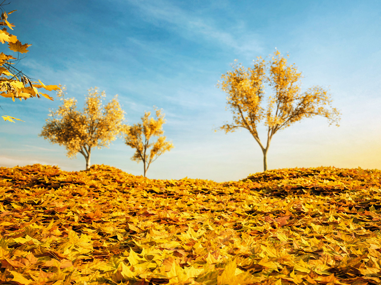 ifbackgrounds