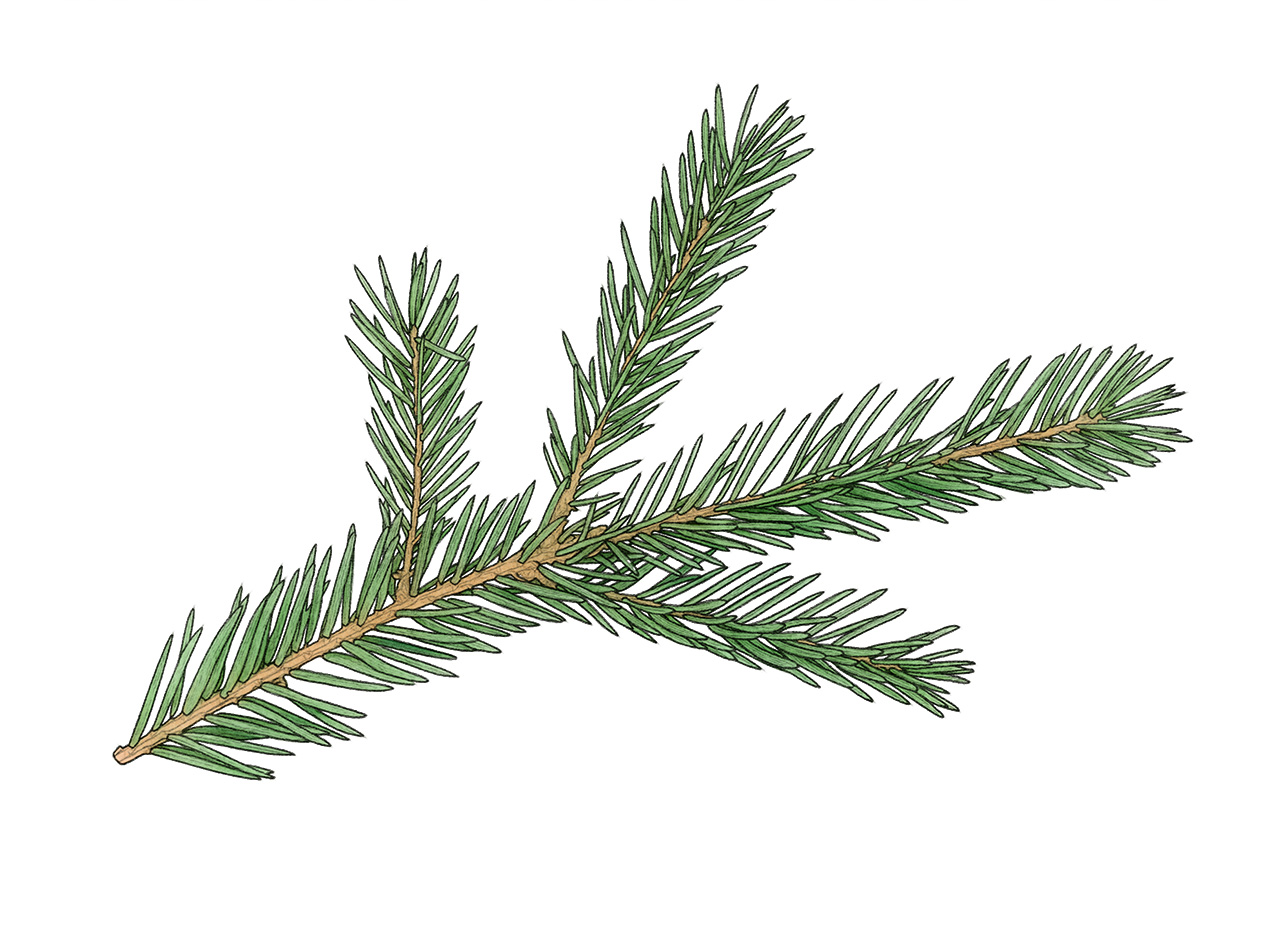 julmotiv