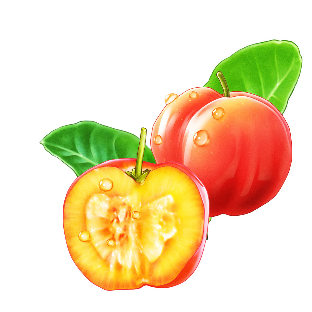 lakerolacerola