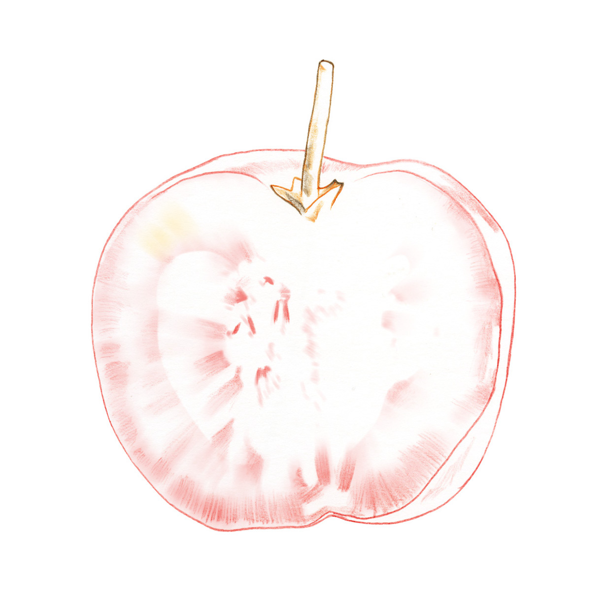 lakerolacerola