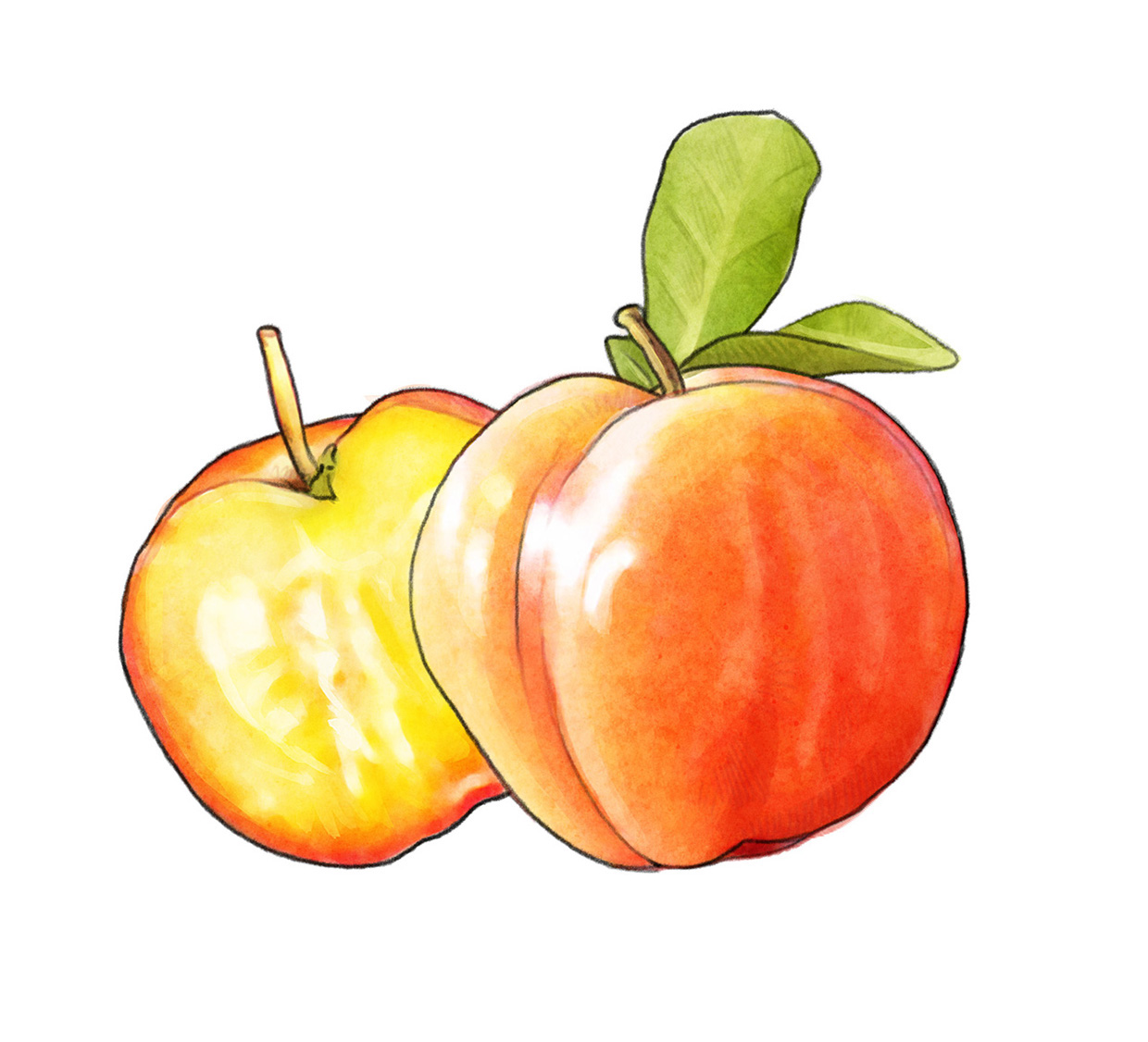 lakerolacerola