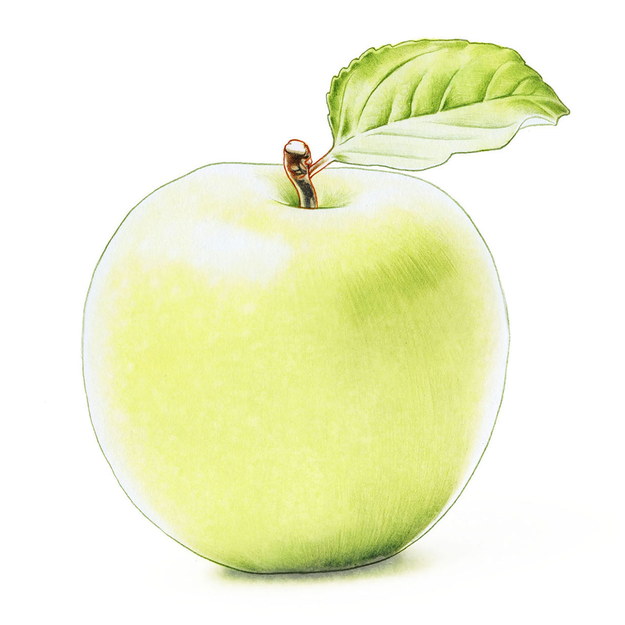 lakerolapple