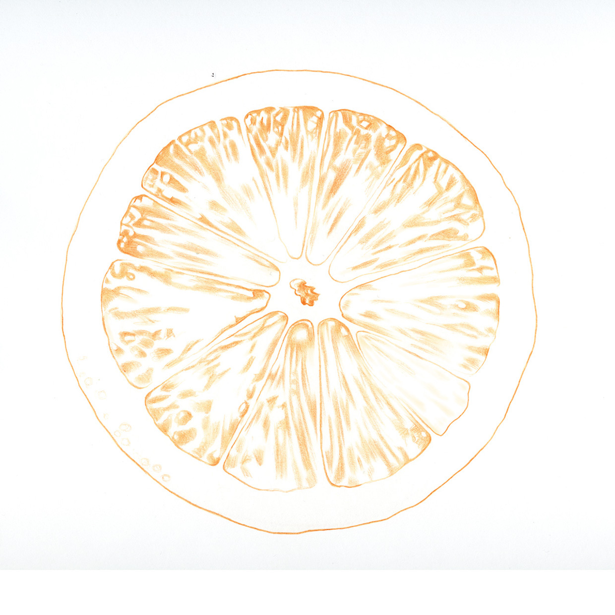 lakerolcitrus