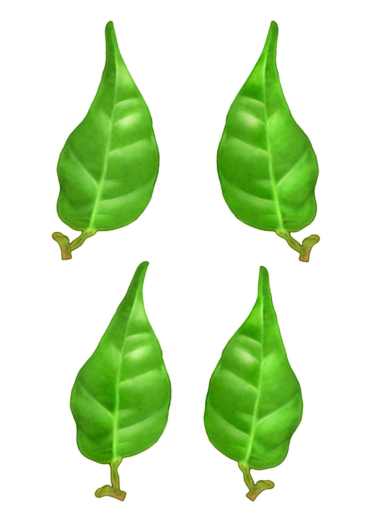 lakerolcitrus