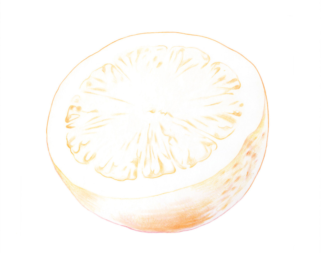 lakerolcitrus