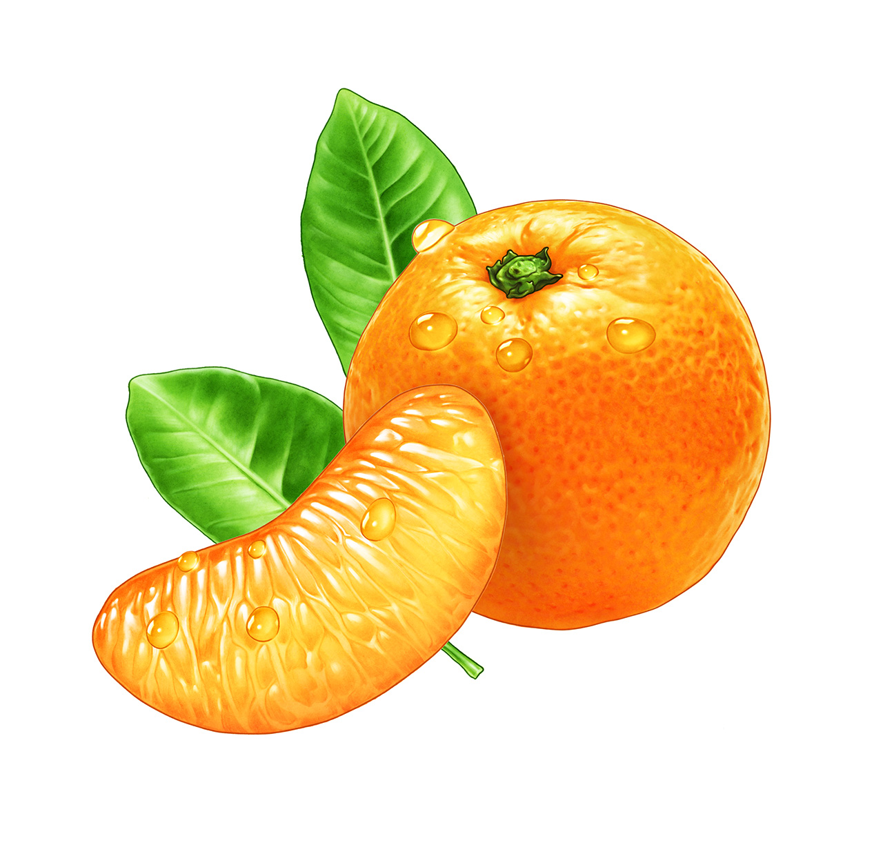 lakerolmandarin