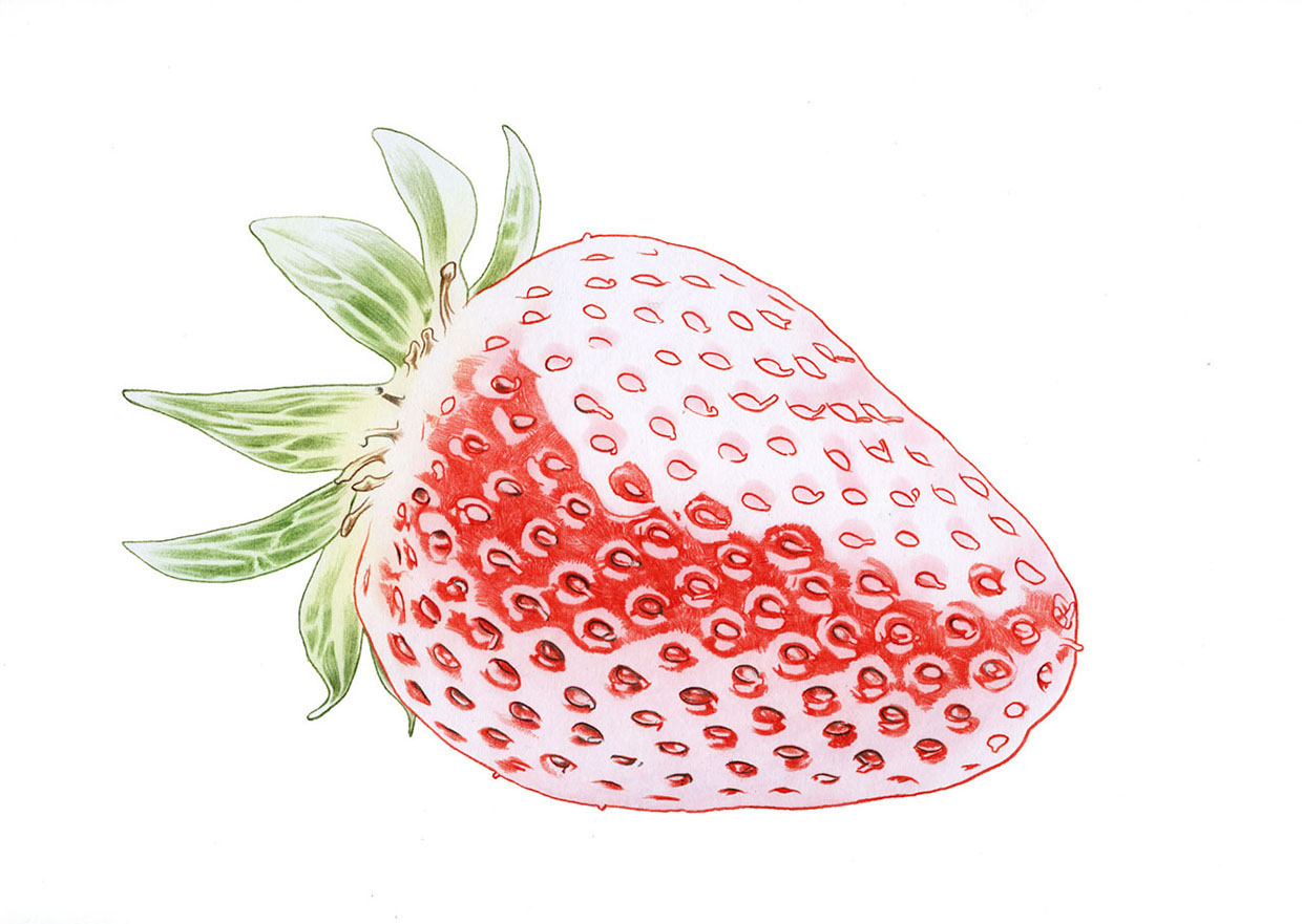 lakerolstrawberry