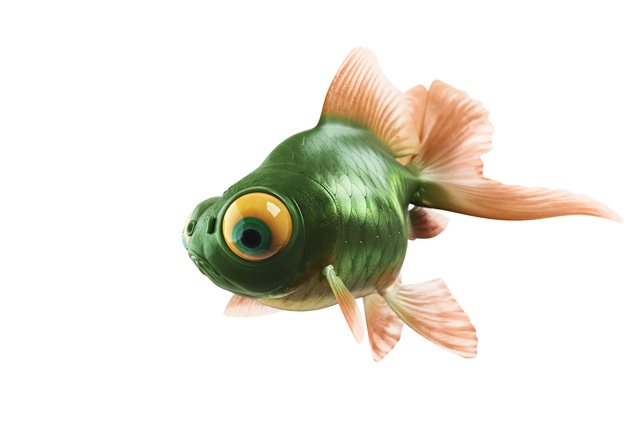 puplegoldfish