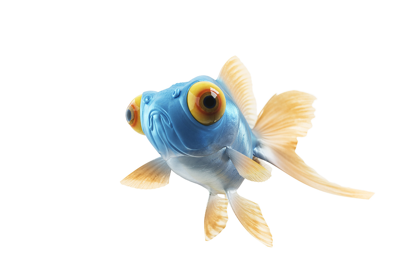 puplegoldfish