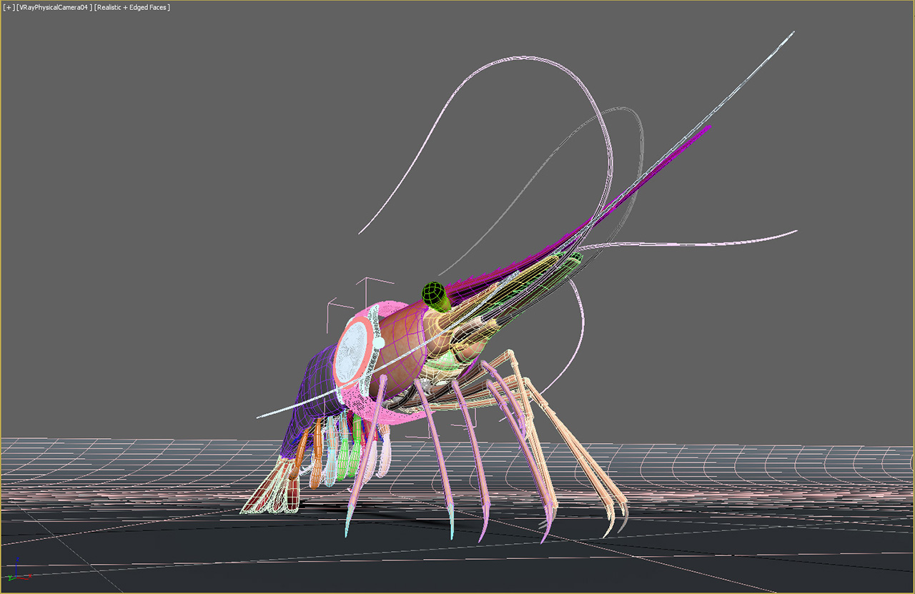 shrimp50year