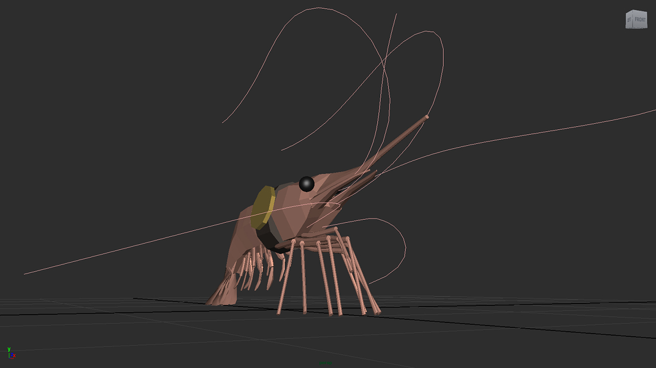shrimp50year