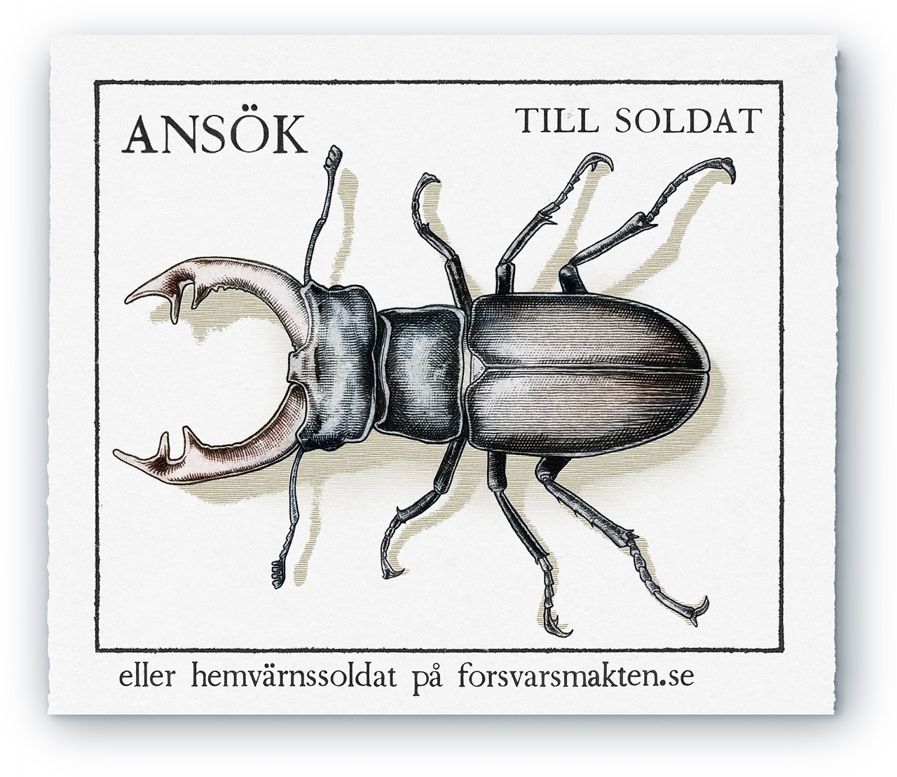 stampbug