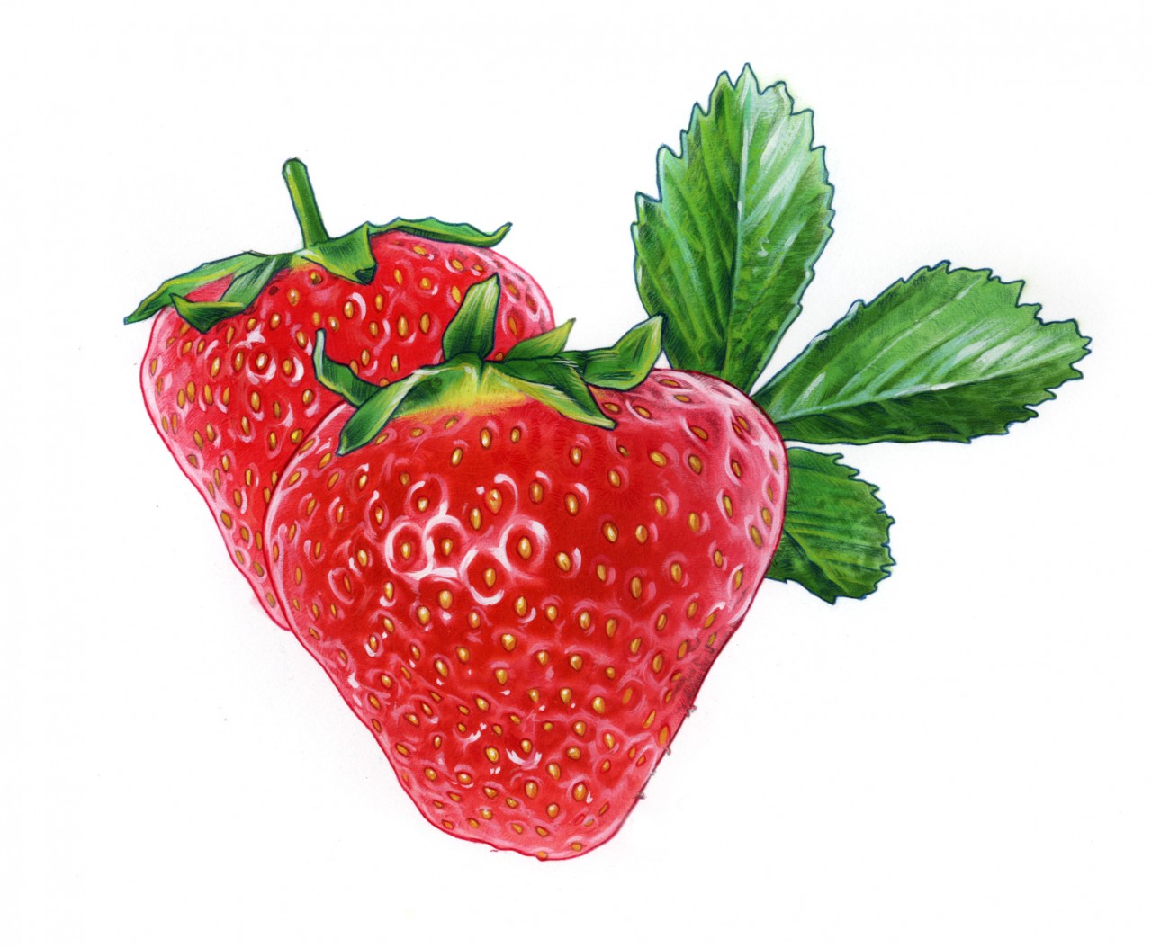 strawberry