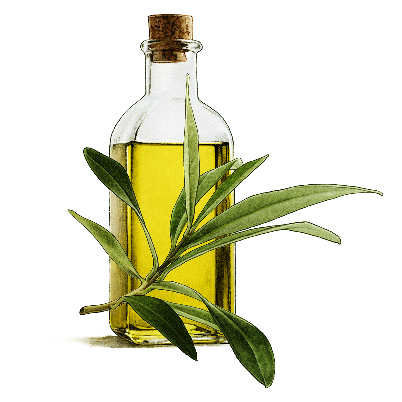 zetaoliveoil